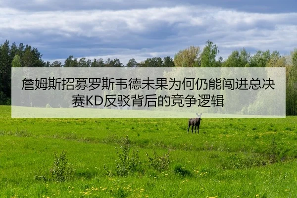 詹姆斯招募罗斯韦德未果为何仍能闯进总决赛KD反驳背后的竞争逻辑